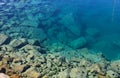 Sea urchins on the rocky beach in the Mediterranean