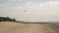 Sea vacation. Flying kites on the seashore. Kites and people walking on the sandy beach.Silhouettes of people on the