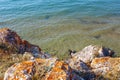 Sea view from above. Large mossy stones