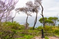 Sea view in Ben Boyd National Park, NSW