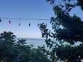 Sea view with colorful lights between trees Royalty Free Stock Photo