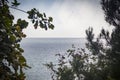 Sea view from the forest on the shore Royalty Free Stock Photo