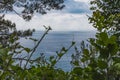 Sea view from forest Royalty Free Stock Photo