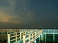 Sea view near mangrove forest with man made wooden barrier for wave protection, under starry nigh cloudy sky Royalty Free Stock Photo