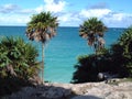 Sea view and palmtrees Tulum Royalty Free Stock Photo