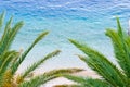 Sea view pebble beach with palm trees Royalty Free Stock Photo