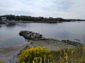 Sea view. Rocks and yellow flowers. Beach.