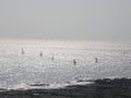 Sea view of sailing boats across glistening water