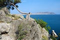 Sea view from the top of Cape Alchak in Crimea