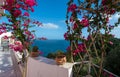 Sea view from the veranda overgrown with bougainvillea Royalty Free Stock Photo