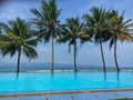 sea ??views with large coconut trees by the swimming pool