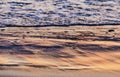 Sea water edge at sunset or sunrise. Texture of waves and sand in the rays of setting sun. Copy space. Selective focus Royalty Free Stock Photo