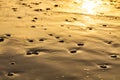 Sea water edge at sunset or sunrise. Texture of waves, wet sand and sea stones in the rays of setting sun. Copy space Royalty Free Stock Photo