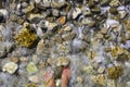 Sea water foam splashing on stones and woman barefoot Royalty Free Stock Photo