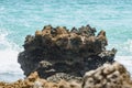 Sea water hitting the rocks on the bay Royalty Free Stock Photo