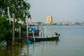 Sea water in muar and shep Royalty Free Stock Photo