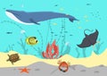 Sea water, ocean fish concept, vector illustration, underwater marine, animal life in tropical reef nature, whale Royalty Free Stock Photo