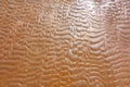 Sea Water and Sand Structure Golden fine sand