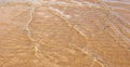 Sea Water and Sand Structure Golden fine sand