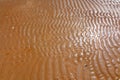 Sea Water and Sand Structure Golden fine sand