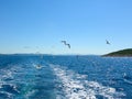 Sea water ship trail with white foamy wave. Tropical islands ferry travel. Bubble tail after cruise ship. Deep ocean view. Royalty Free Stock Photo