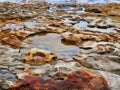 Small Rock Pools in Cratered Sandstone, Bondi Beach, Australia