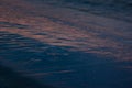 Sea water on sunset with dark colorful pink and deep blue reflection and ripple in calm surf with part of black diagonal beach. Royalty Free Stock Photo