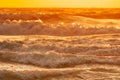 Sea water surface at sunset. Natural sunrise warm colors of ocean. Sea ocean water surface with foaming waves at sunset Royalty Free Stock Photo