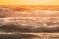 Sea water surface at sunset. Natural sunrise warm colors of ocean. Sea ocean water surface with foaming small waves at Royalty Free Stock Photo