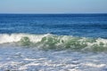 Sea wave in the bay of Akhlestyshev of the coast of the island Russian. Russia, Vladivostok