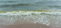 Sea wave with beach, Algal bloom Royalty Free Stock Photo