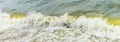 Sea wave with beach, Algal bloom Royalty Free Stock Photo