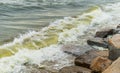 Sea wave with beach, Algal bloom