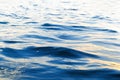 Sea wave close up. Sunset on a level of water. Ocean view seascape. Landscape. surface. Blue background