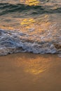 Sea wave foam on sandy beach in sundown light, close up. Tropical summery background Royalty Free Stock Photo