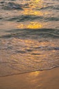 Sea wave foam on sandy beach in sundown light, close up. Tropical summery background Royalty Free Stock Photo