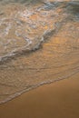 Sea wave foam on sandy beach in sundown light, close up. Tropical summery background Royalty Free Stock Photo