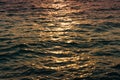 Sea wave in the morning reflecting the sunshine Royalty Free Stock Photo