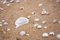 Sea wave running towards the coast from small shells in Skane, Sweden