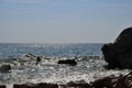 Sea wave splash on rocky beach. Ocean waves breaking on rocks. Royalty Free Stock Photo