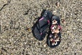 Sea wave splashes left on the beach black flip-flops with seashells.Left on the sand wet black flip-flops Royalty Free Stock Photo