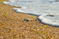 Sea wave washes over stones on the beach