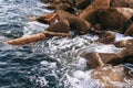 Sea waves break on stones