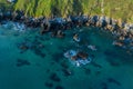 Sea waves breaking in the reefs and coast of Sonabia, Spain, Cantabrian sea