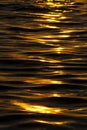 Sea waves. Dark blue sea with golden waves early morning. Natural background.