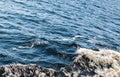 Sea waves formed by a passing ship. Royalty Free Stock Photo