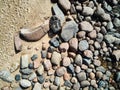 Sea waves lash line impact rock on the beach