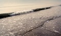 Waves background, wet sand and shells, abstract background Royalty Free Stock Photo