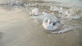 Sea waves rolling on the garbage and plastic bags lying on sandy sea beach. Concept of ecology harm, pollution, dirty nature and