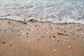 Sea waves on sand beach with mollisk shells Royalty Free Stock Photo